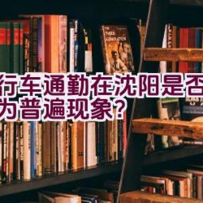 自行车通勤在沈阳是否已经成为普遍现象？