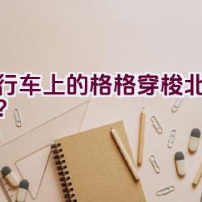 自行车上的格格穿梭北京街头？