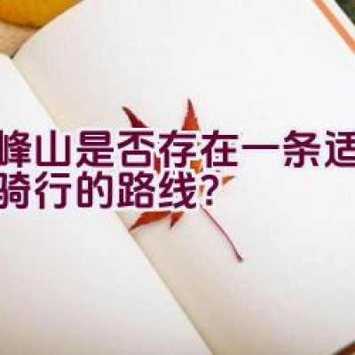 顺峰山是否存在一条适合双人骑行的路线？