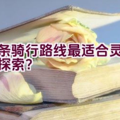 哪条骑行路线最适合灵川儿童探索？