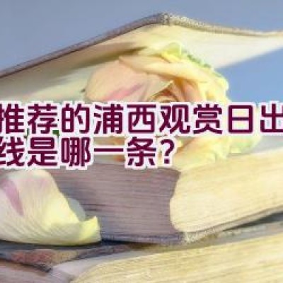 最推荐的浦西观赏日出骑行路线是哪一条？