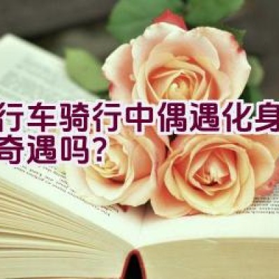 自行车骑行中偶遇化身兔人的奇遇吗？