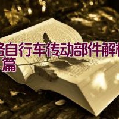 公路自行车传动部件解析：CP篇