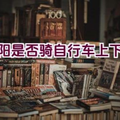 沈阳是否骑自行车上下班？