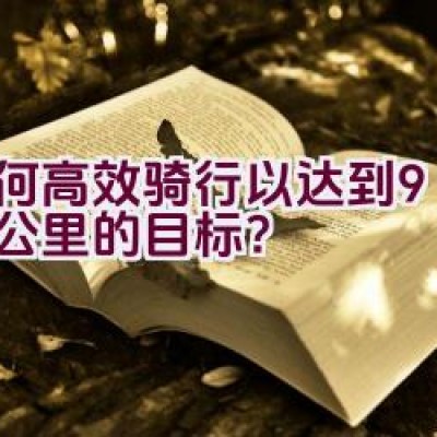 如何高效骑行以达到9686公里的目标？