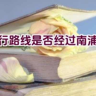 骑行路线是否经过南浦大桥？