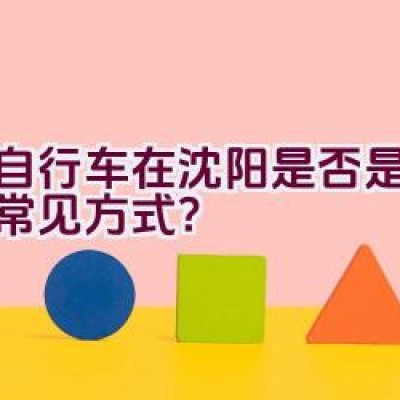 骑自行车在沈阳是否是通勤的常见方式？