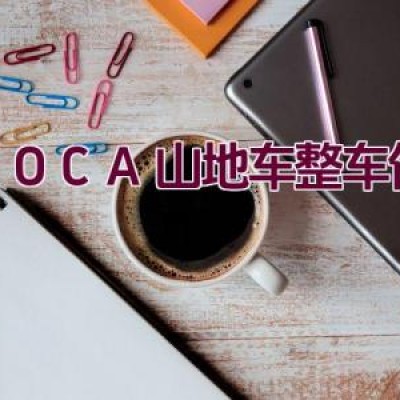 ACOCA山地车整车保养