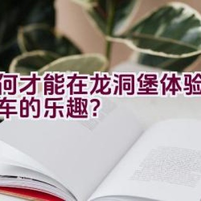 如何才能在龙洞堡体验骑自行车的乐趣？