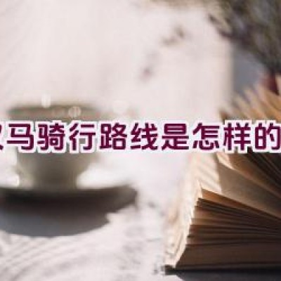 汉马骑行路线是怎样的？