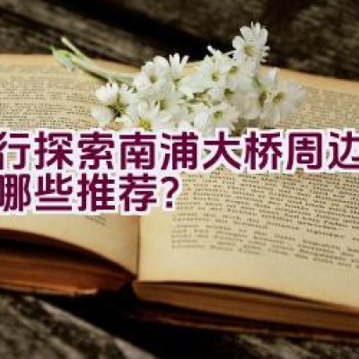 骑行探索南浦大桥周边路线有哪些推荐？