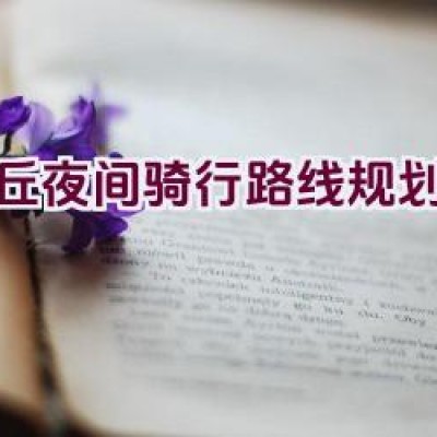 虎丘夜间骑行路线规划方案