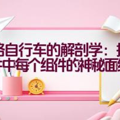 公路自行车的解剖学：揭开套件中每个组件的神秘面纱