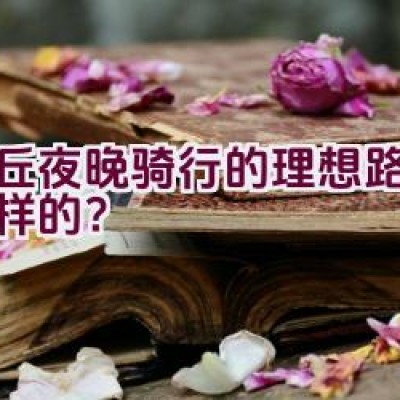 虎丘夜晚骑行的理想路线是怎样的？