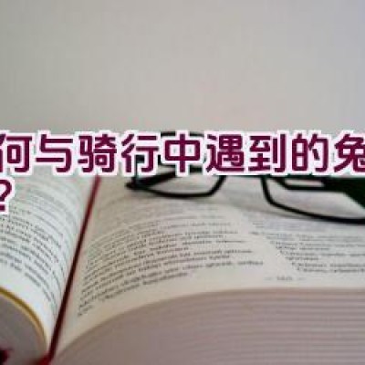 如何与骑行中遇到的兔人互动？