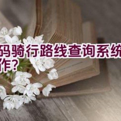 扫码骑行路线查询系统如何操作？