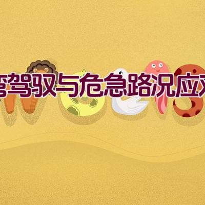 过弯驾驭与危急路况应对技巧