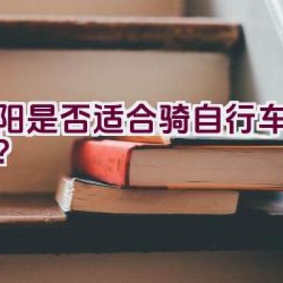 沈阳是否适合骑自行车上下班？