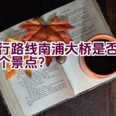 骑行路线南浦大桥是否经过多个景点？