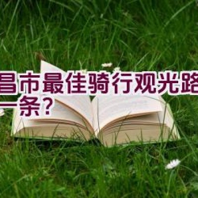 宜昌市最佳骑行观光路径是哪一条？