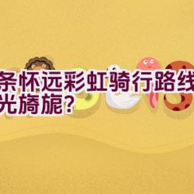 这条怀远彩虹骑行路线是否风光旖旎？