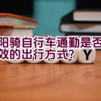 沈阳骑自行车通勤是否环保高效的出行方式？