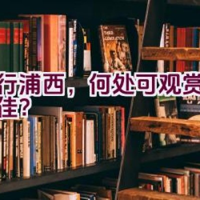 骑行浦西，何处可观赏日出最佳？