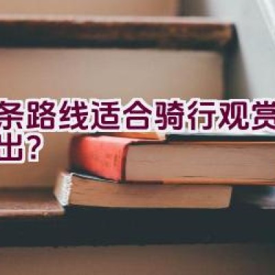 哪条路线适合骑行观赏浦西日出？