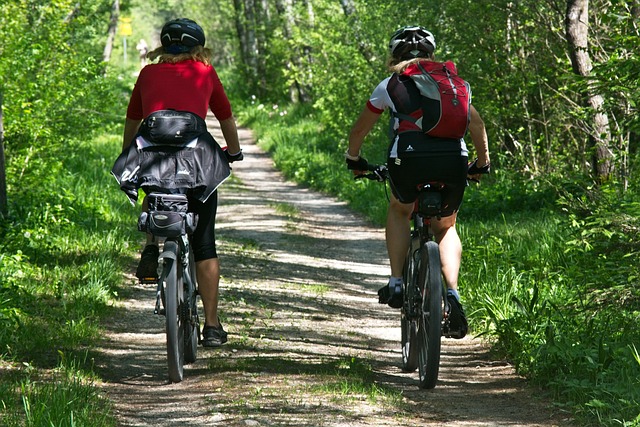 深度解析：捷安特FCR3500：科技、性能与舒适性的公路竞赛巅峰之作