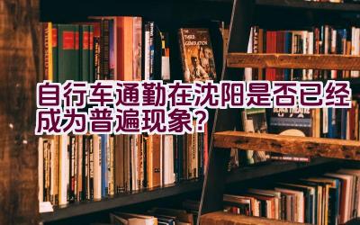 自行车通勤在沈阳是否已经成为普遍现象？插图