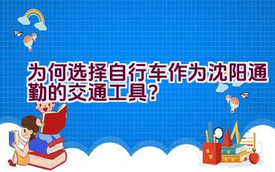 为何选择自行车作为沈阳通勤的交通工具？插图