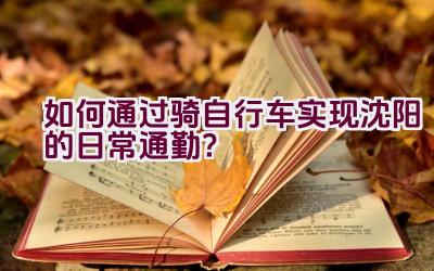 如何通过骑自行车实现沈阳的日常通勤？插图