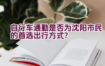 自行车通勤是否为沈阳市民的首选出行方式？插图