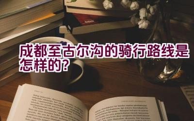 成都至古尔沟的骑行路线是怎样的？插图