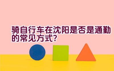 骑自行车在沈阳是否是通勤的常见方式？插图