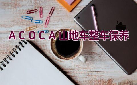 ACOCA山地车整车保养插图