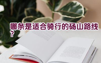 哪条是适合骑行的砀山路线？插图