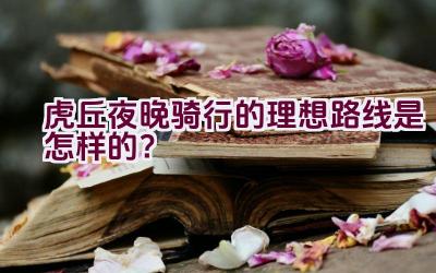 虎丘夜晚骑行的理想路线是怎样的？插图